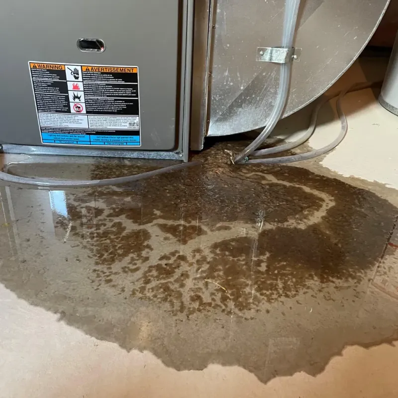 Appliance Leak Cleanup in Cudjoe Key, FL